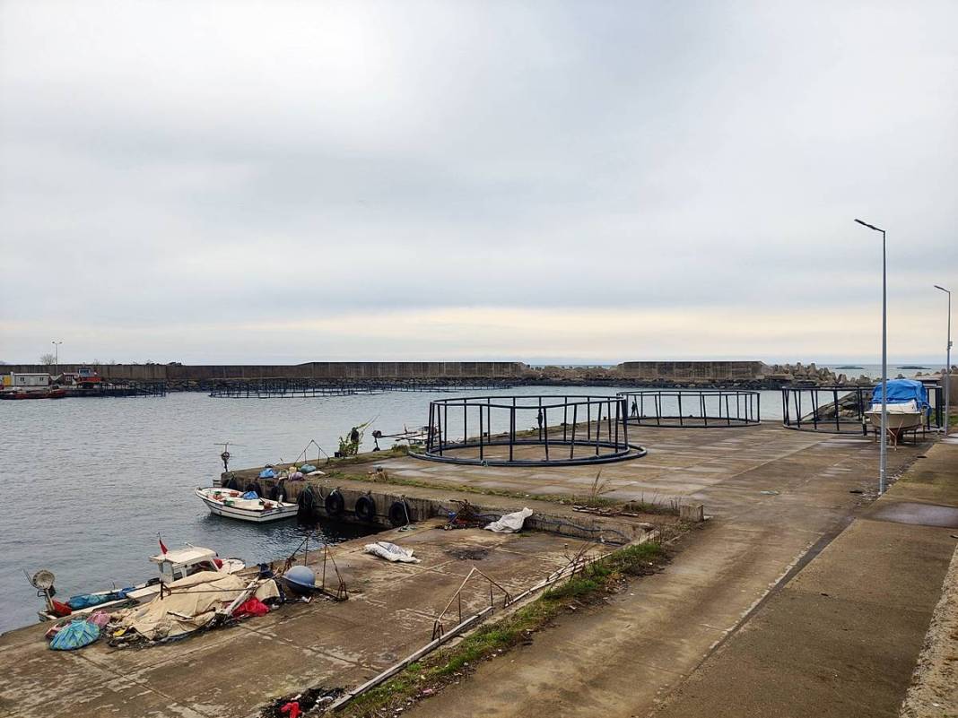 Denize iki ton levrek dağıldığını duyanlar oraya koştu! Üç saatlik yoldan gelip olta salladılar 6